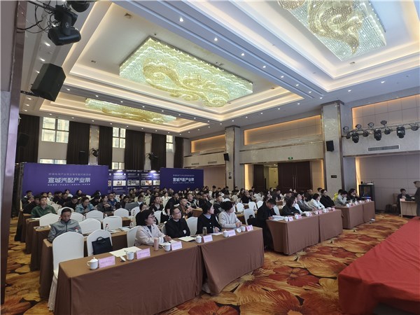 宣城汽配產(chǎn)業(yè)帶揚(yáng)帆出海，跨境電商專場對(duì)接賦能企業(yè)建站新篇